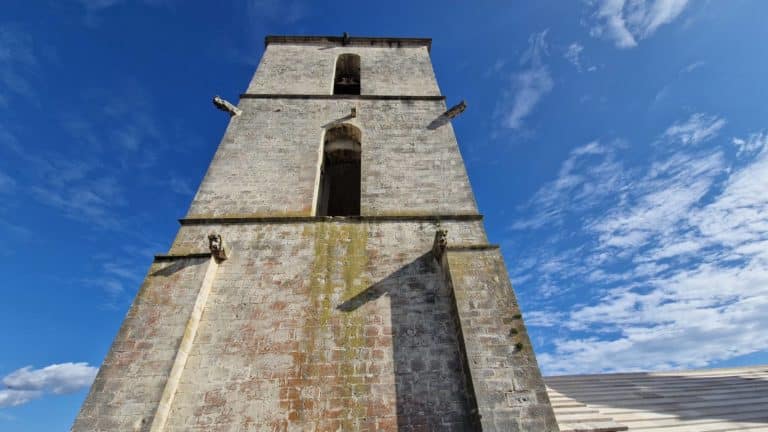 Installation Millétoiles Forcalquier
