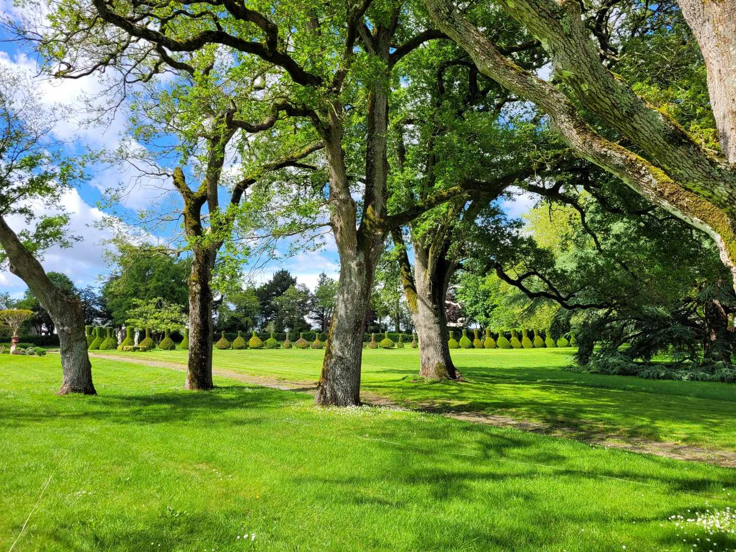 La verdure de la Corbe