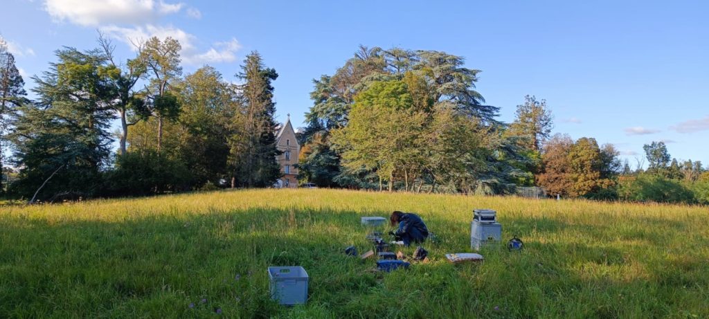 Millétoiles s'installe à la Bonnetière.