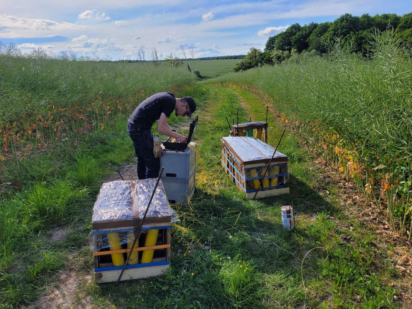 Batteries de mortier Millétoiles