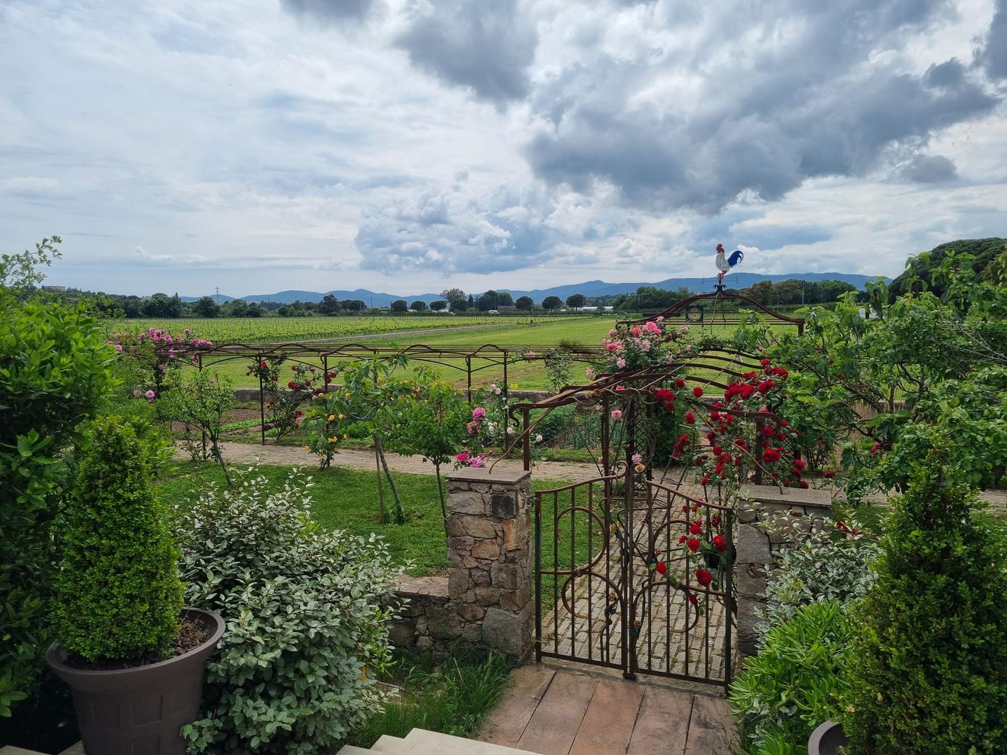Millétoiles au Clos des Roses