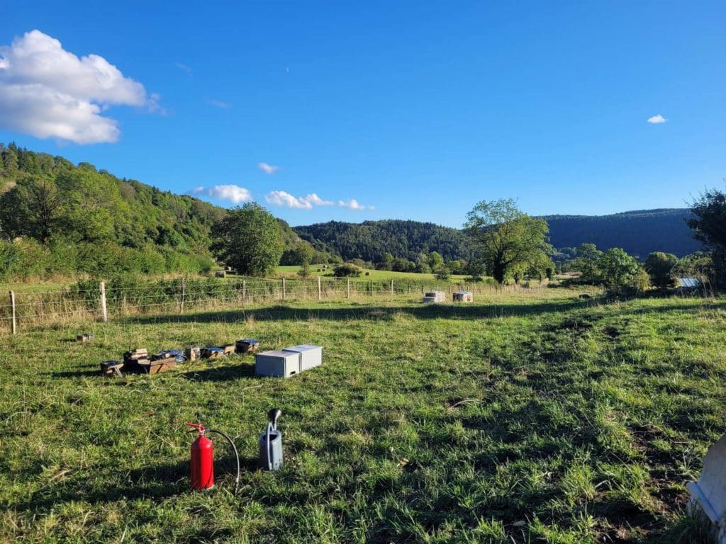 Millétoiles à Cormaranche