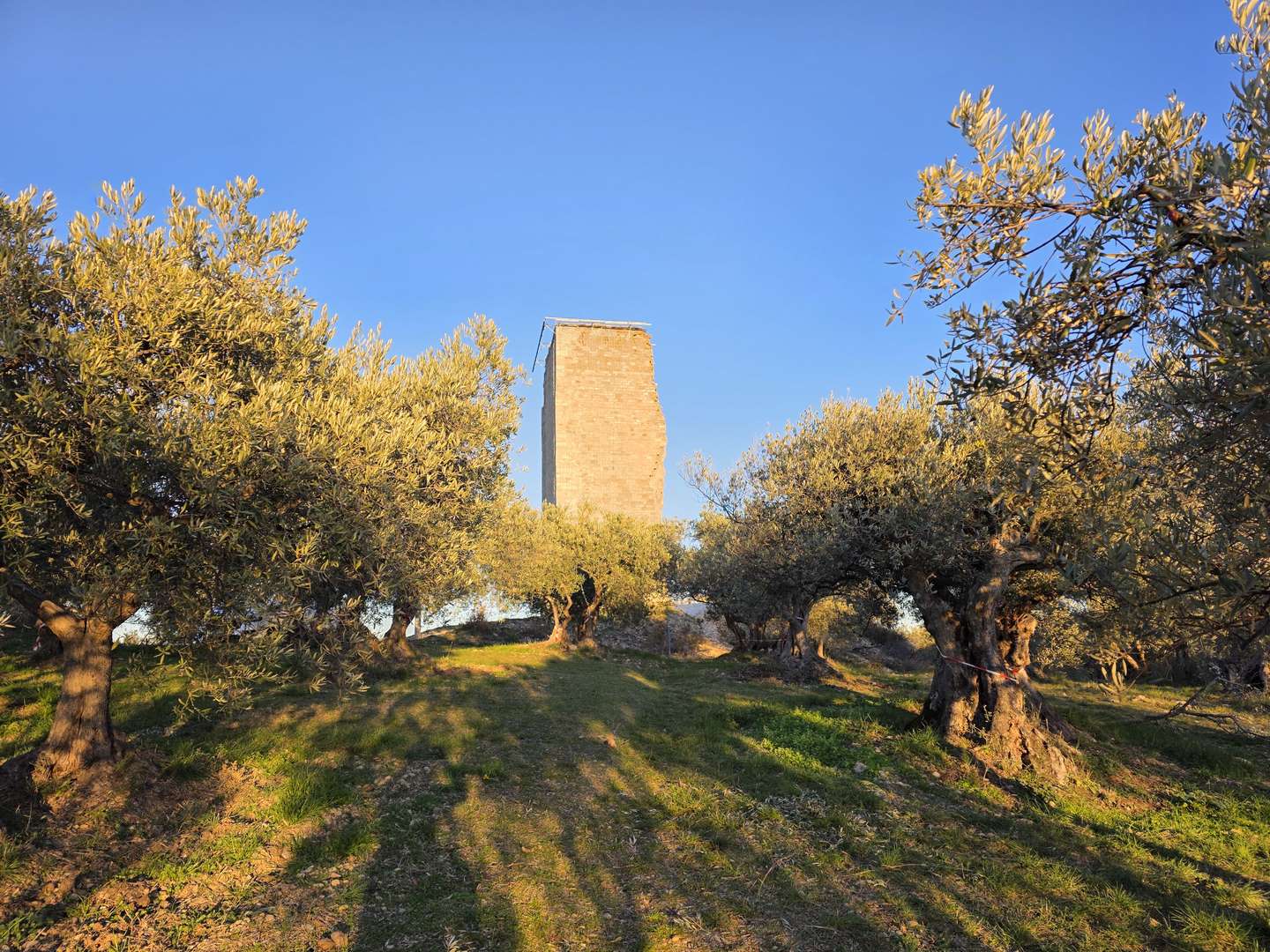 Le Mont d'Or - feu Millétoiles