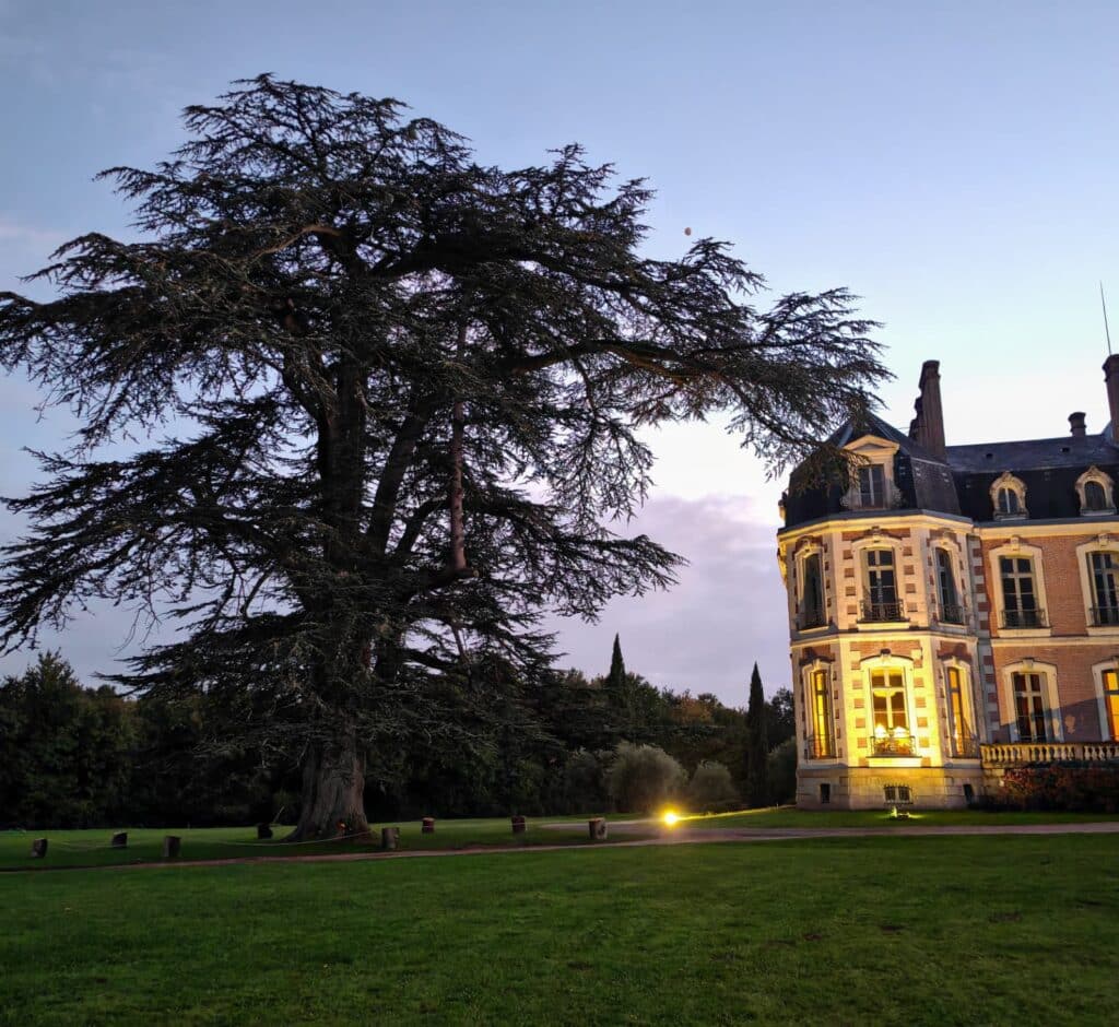 Château de la Baronnie au crépuscule