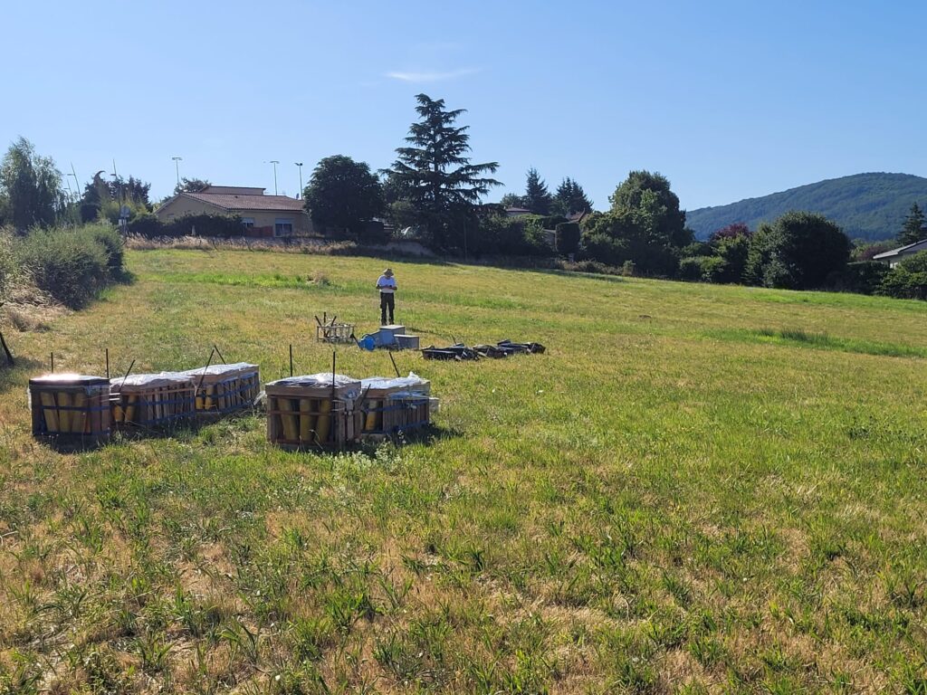 Batteries de mortiers F4